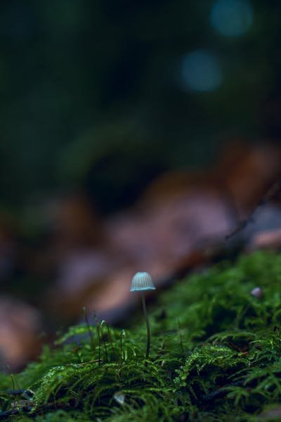 Hello world!